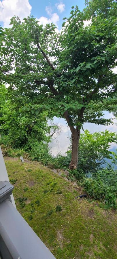 Captain'S Quarters Riverfront #2 ナッシュビル エクステリア 写真